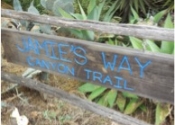 Canyon Trail